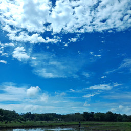 outside nature trees blue cloudsandsky beautifullandscape freetoedit pcdearearth dearearth