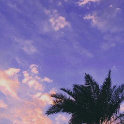 freetoedit