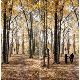 so2058f ecspotthedifference spotthedifference freetoedit