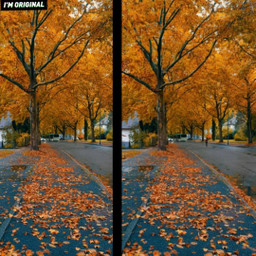 autumn outside differences freetoedit ecspotthedifference spotthedifference