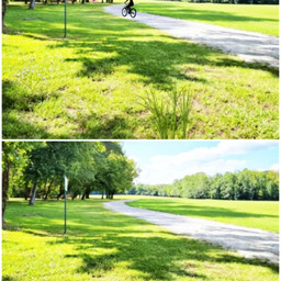 beauty girls natural nature trees park garden grass field picsartchallenge challenge freetoedit ecspotthedifference spotthedifference