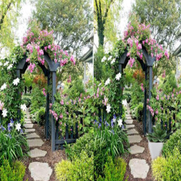 freetoedit ecspotthedifference spotthedifference