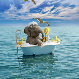 fcmybestedit mybestedit myedit picsartedit picsarteffects fantasy elefant freetoedit