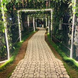 freetoedit nature foods cafee pcstreetstories streetstories