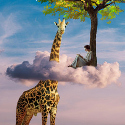 surrealism imagination visualart fantasy magical landscape freetoedit fcmybestedit mybestedit