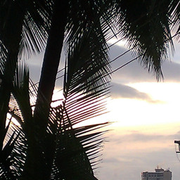 freetoedit pcchasinglight chasinglight