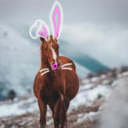 freetoedit nature mountains equstrain srchoppyears hoppyears