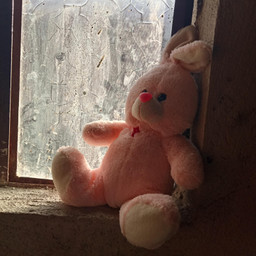 pccelebratingeaster celebratingeaster rabbit rabbits cute kawaii freetoedit