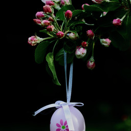 easteregg easter osterei ostern blossoms blüten nature natur freetoedit pccelebratingeaster celebratingeaster