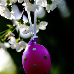 easter ostern easteregg osterei blossoms blüten nature natur freetoedit pccelebratingeaster celebratingeaster