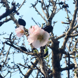 nature beauty nofiltersneeded godsbeautifulcreation freetoedit pcdearearth dearearth