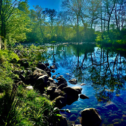 dearearth picsartchallenge nofilters photography nature landscape riverside pcdearearth
