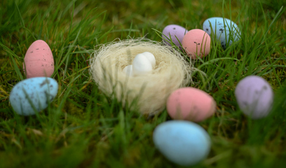 Capture,the,spirit,of,Easter,through,your,lens!,Whether,it's,colorful,egg,hunts,,festive,family,gatherings,,blooming,springtime,scenes,,or,sweet,holiday,treats,,we,want,to,see,how,you,celebrate,this,joyful,season.
Submit,your,best,unedited,photo,that,reflects,the,warmth,,hope,,and,happiness,of,Easter.,From,cozy,traditions,to,vibrant,moments,—,every,snap,tells,a,story.
