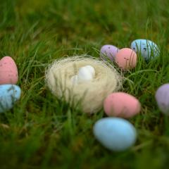 Capture,the,spirit,of,Easter,through,your,lens!,Whether,it's,colorful,egg,hunts,,festive,family,gatherings,,blooming,springtime,scenes,,or,sweet,holiday,treats,,we,want,to,see,how,you,celebrate,this,joyful,season.
Submit,your,best,unedited,photo,that,reflects,the,warmth,,hope,,and,happiness,of,Easter.,From,cozy,traditions,to,vibrant,moments,—,every,snap,tells,a,story.